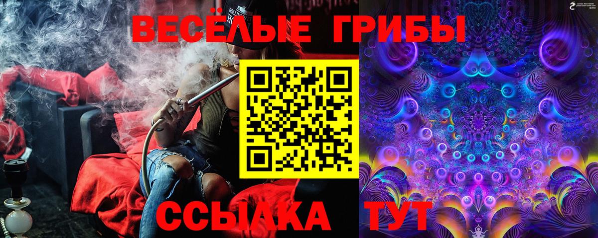 Псилоцибиновые грибы прущие грибы Озёры